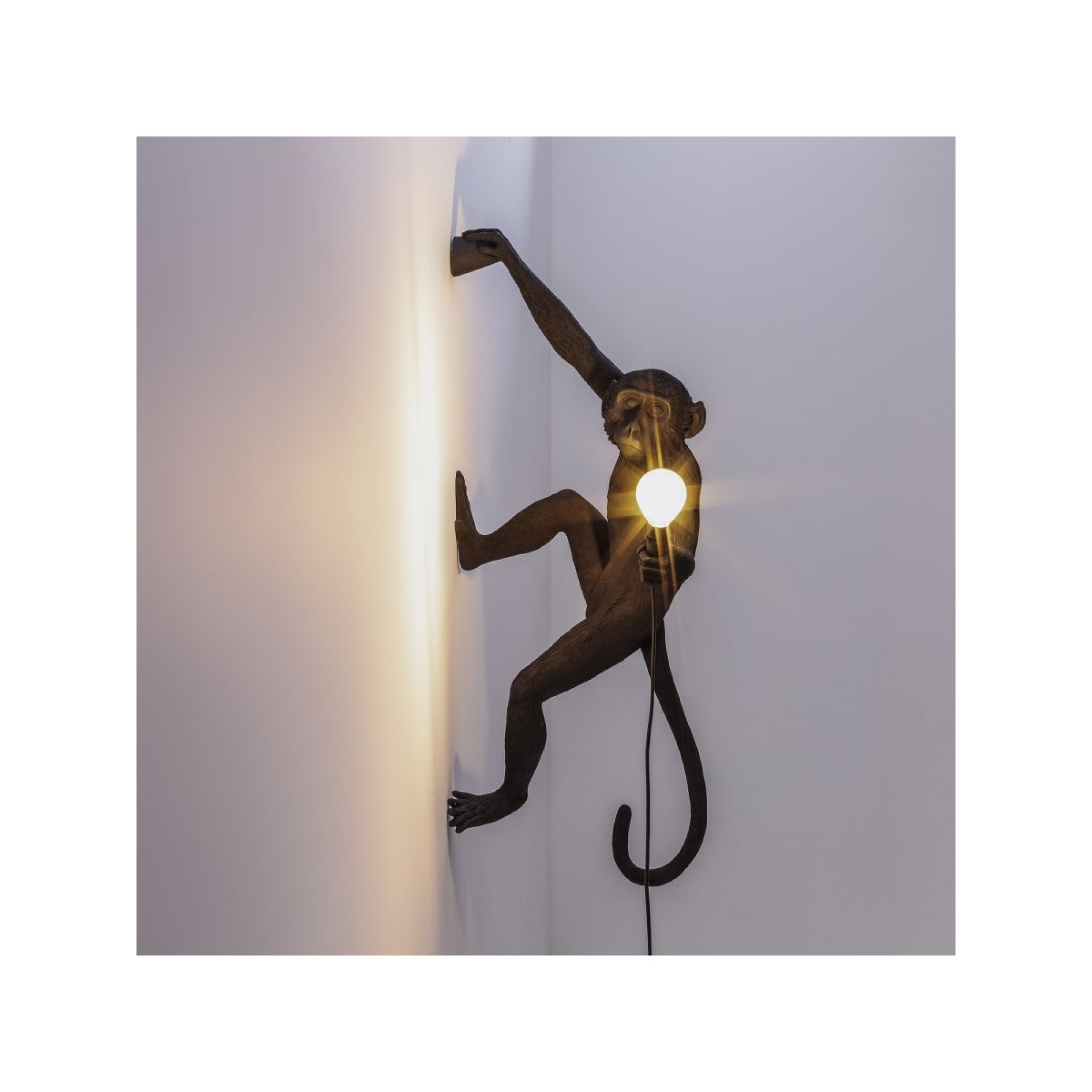 MONKEY LAMP HANGING OUTDOOR, Lampade Parete Applique, Illuminazione